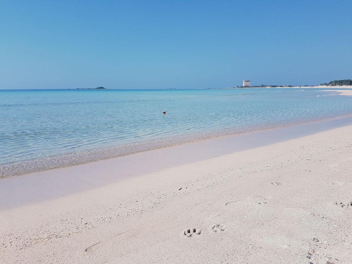 Hotel Posidonia Porto Cesareo Eksteriør billede